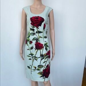 DOLCE & GABBANA LIGHT GREEN ROSE PRINT DRESS, SZ 38